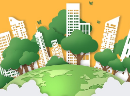 小邱调查 | 剪不断理还乱 何时破解“大树的烦恼”