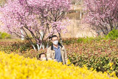 泛舟湖面、赏花踏青，惬意！