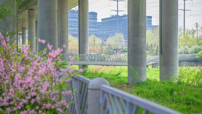 张村河公园：蝶变进行时|口袋公园兜住“微幸福”⑤