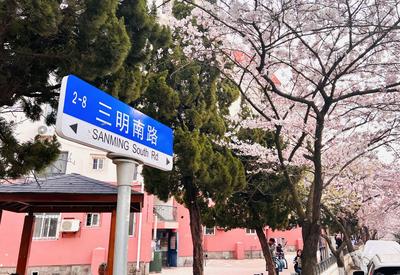 “樱花隧道”，来了