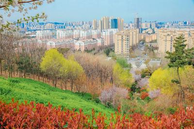 象耳山公园：打翻春的调色盘|口袋公园兜住“微幸福”②