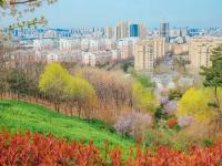 象耳山公园：打翻春的调色盘|口袋公园兜住“微幸福”②