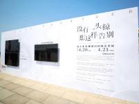 奥帆中心有条8米长的“鲸鱼”，超有故事