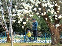 乱花渐欲迷人眼，植物园里春色赞！