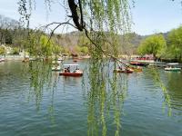 荡舟赏春！中山公园有个“宝藏景区”