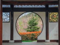 象耳山公园：打翻春的调色盘|口袋公园兜住“微幸福”②