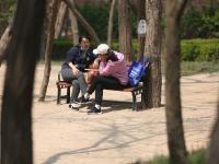 北山公园：春日健身好去处——口袋公园兜住“微幸福”③