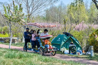 唐岛湾：户外露营成“五一”假期休闲“顶流”