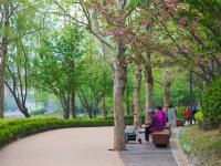 李村河生态公园：春日交响曲|口袋公园兜住“微幸福”①