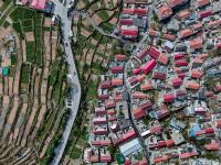 这是哪里的世外桃源？春风十里黄山村