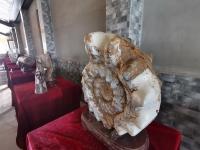 中医药标本、古生物化石、1200余种玫瑰……青岛这处4A级景区“硬核”升级，速来