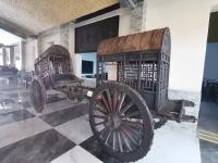 中医药标本、古生物化石、1200余种玫瑰……青岛这处4A级景区“硬核”升级，速来