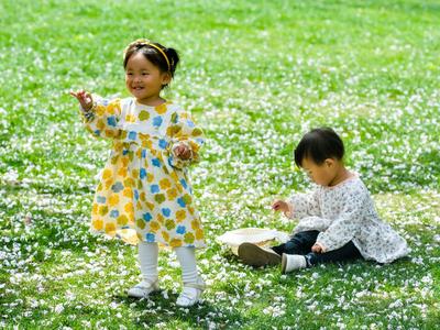 落花也惊艳！来这里共赴一场花瓣雨吧