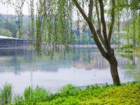 李村河生态公园：春日交响曲|口袋公园兜住“微幸福”①