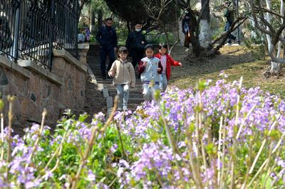 乱花渐欲迷人眼，植物园里春色赞！