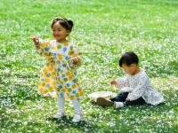 落花也惊艳！来这里共赴一场花瓣雨吧