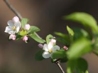 北山公园：春日健身好去处——口袋公园兜住“微幸福”③