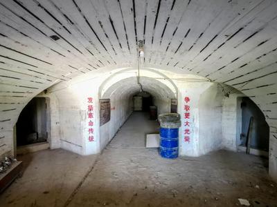 奋进新征程，青岛更精彩③|丹邱“春赏”胜景再现！快来这处市民公园打卡