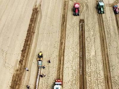 “云上”农机地头展来啦！新机具大显身手，助力花生春耕春播