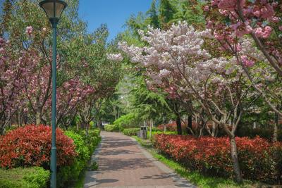 张村河公园：蝶变进行时|口袋公园兜住“微幸福”⑤