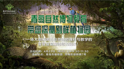 回放｜西府海棠花开春意浓 记者带你逛青岛植物园