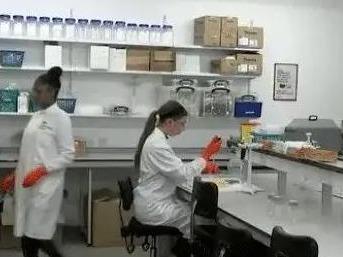 西班牙不明原因儿童肝炎病例升至21例