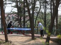 北山公园：春日健身好去处——口袋公园兜住“微幸福”③