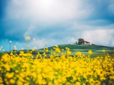 清明假期可以出游吗？各地最新信息汇总
