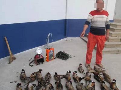 最高奖5000元！市公安局即墨分局支持市民举报这几类线索