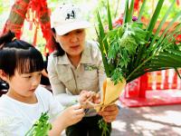 “定制款”粽子？萌宠过端午，满满的仪式感