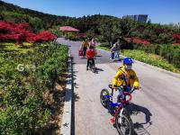 双山公园：有诗意的晨练佳境|口袋公园兜住“微幸福”⑦