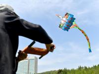 蓝天做衬！15只“帆船”遨游汇泉广场上空