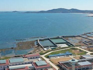 青岛印发规划：2030年建成海上溢油应急能力体系，保障海洋经济健康发展