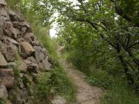 观海探“樱”|第一波樱桃抢“鲜”上市，这个社区迎来丰收季