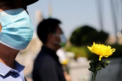 缅怀袁隆平院士，海水稻插秧节在青岛开启