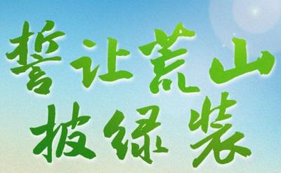誓让荒山披绿装——原山精神，谱写绿水青山高质量发展新篇章
