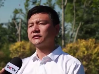 科研人员观测到白洋淀新增多个野生鸟种