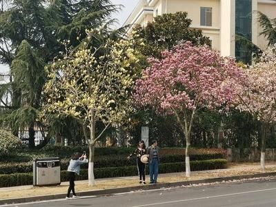 一等奖15万元！青岛公开征集浮山绿道节点景观构筑物设计方案