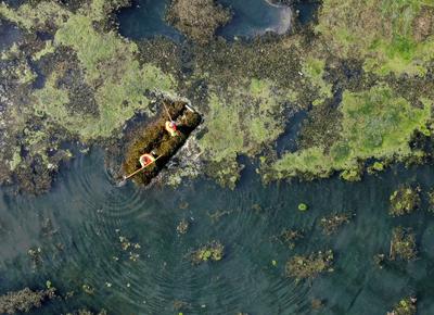 初夏的张村河水清河畅，背后有这样一群“守护者”