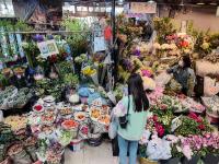 母亲节哪种花最火？带你去花市一睹为快