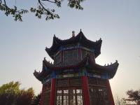 象耳山公园：打翻春的调色盘|口袋公园兜住“微幸福”②