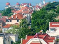 “色香味俱全”的画面：5月岛城槐花飘香