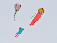 五米长的八爪鱼风筝见过没？这处湿地公园成假期好去处