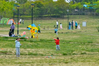 五米长的八爪鱼风筝见过没？这处湿地公园成假期好去处