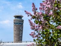 太出片了！盘点胶东国际机场里的6个网红打卡地