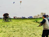 五米长的八爪鱼风筝见过没？这处湿地公园成假期好去处