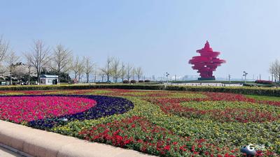 “花海市南”，精彩绽放