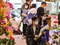 母亲节哪种花最火？带你去花市一睹为快