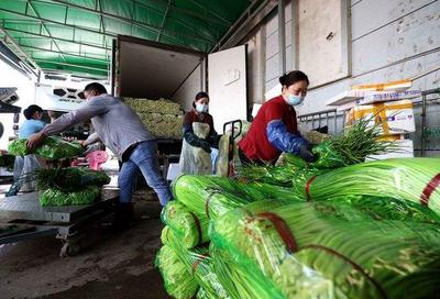 农业农村部：我国主要“菜篮子”产品生产供应充足