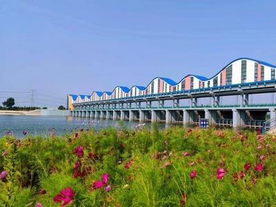今年青岛将创建6条省级美丽示范河湖，现代水网体系规划来了！